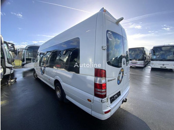 Minibus, Transport de personnes Mercedes Sprinter 519 CDI: photos 3