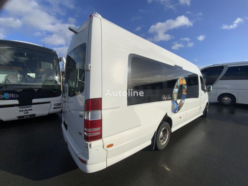 Minibus, Transport de personnes Mercedes Sprinter 519 CDI: photos 4