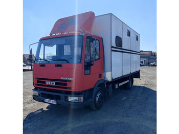 Iveco eurocargo - camion bétaillère