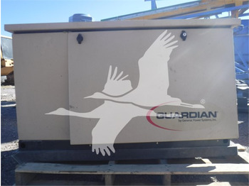  GENERAC 13 KW 13719 - Groupe électrogène