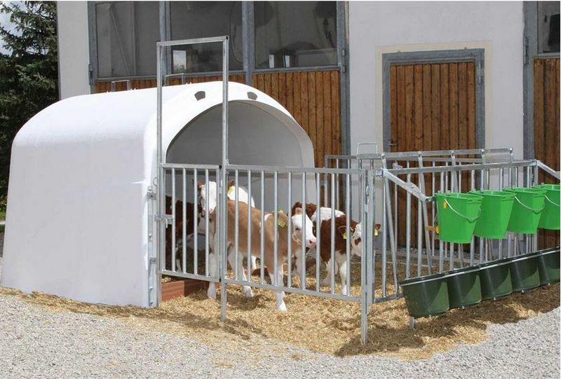 Matériel d'élevage neuf Kerbl AKTION-Kälberhütte Calf House 4/5 frei Haus: photos 8