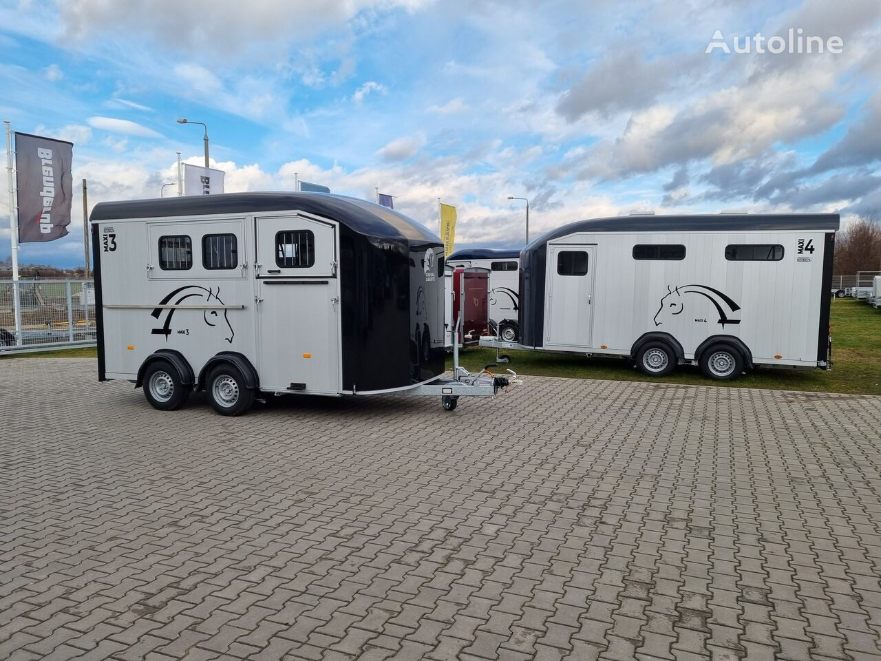 Van chevaux neuf Cheval Liberté Maxi 3 Minimax trailer for 3 horses GVW 3500kg tack room saddle: photos 18