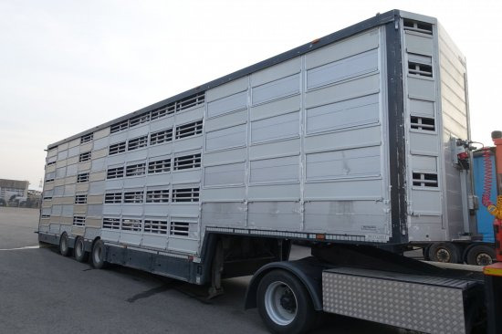 Semi-remorque bétaillère Pezzaioli SBA32/G , 5 Stock , Viehtransporter  , Tränkeranlage,: photos 5