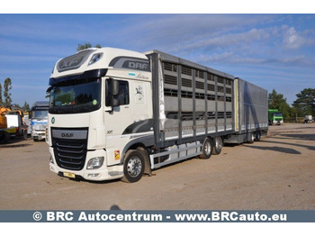 Camion chevaux DAF XF 460