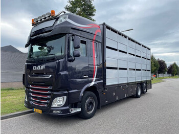DAF XF 460 2017 berdex 3 lagen varkens - Camion bétaillère: photos 1