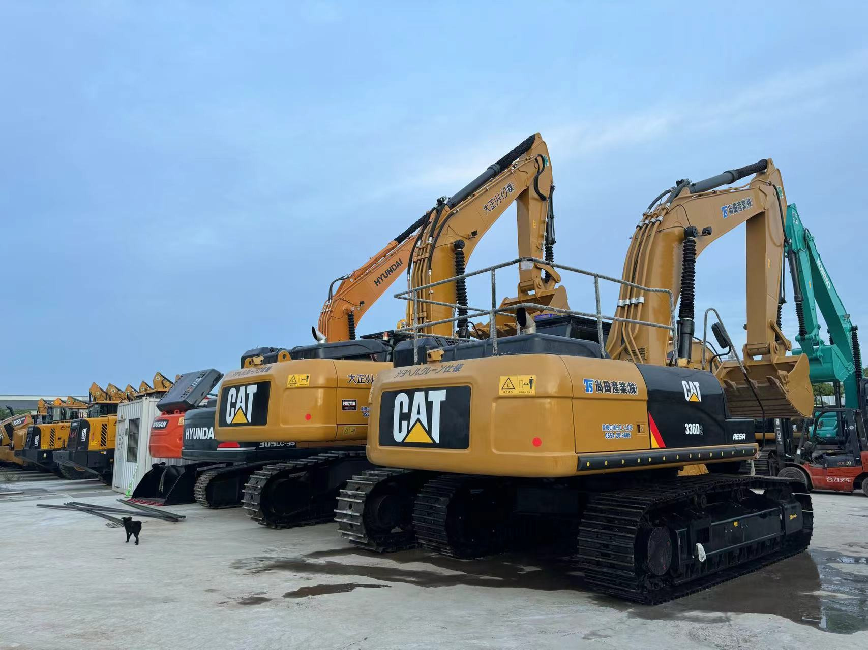 Sunight Development Company Limited - Camions - Année: 2022 undefined: photos 2