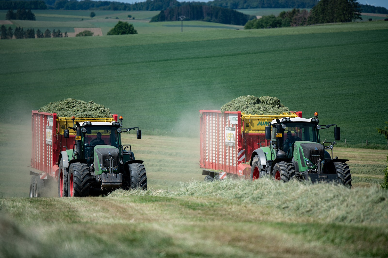 J.Reiff s. á r.l. undefined: photos 20