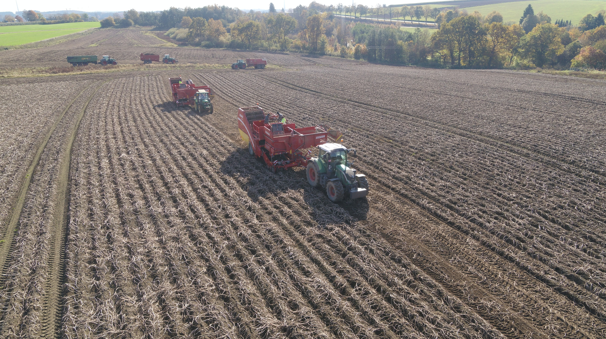 J.Reiff s. á r.l. undefined: photos 32