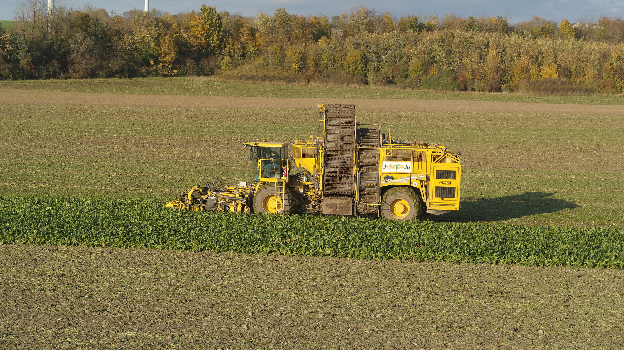 J.Reiff s. á r.l. undefined: photos 30