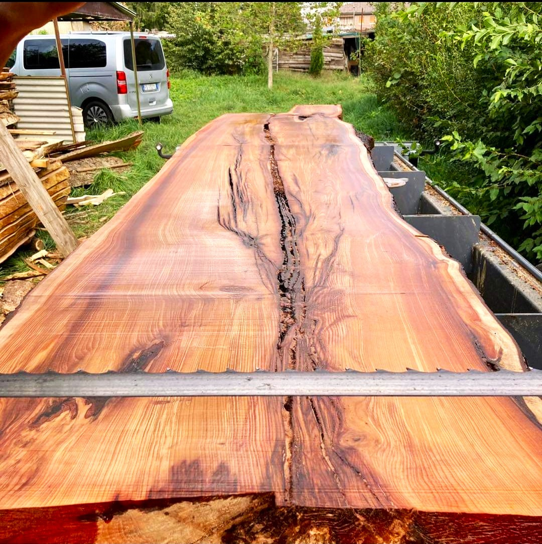 TRAK-MET undefined: photos 37