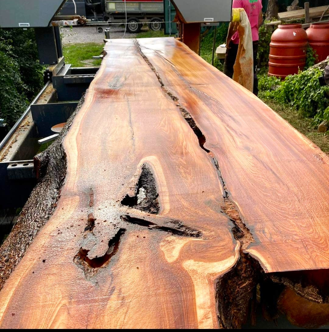 TRAK-MET undefined: photos 38