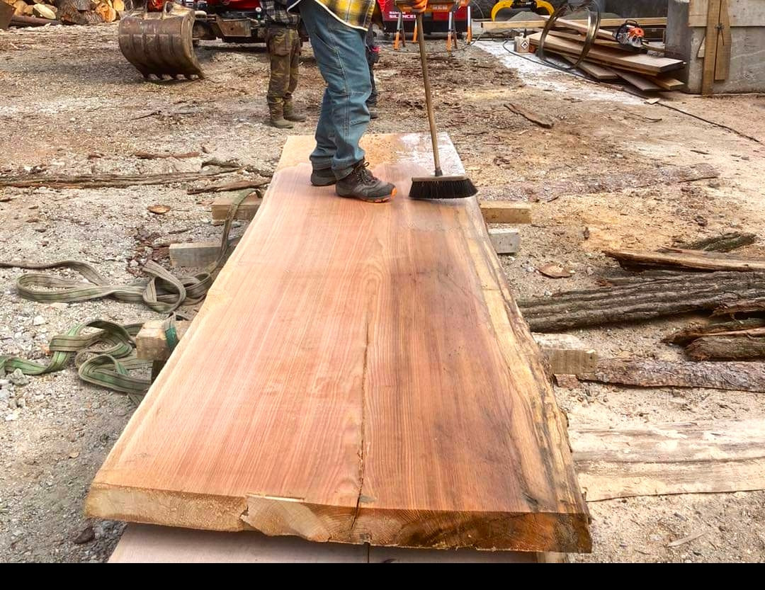 TRAK-MET undefined: photos 32