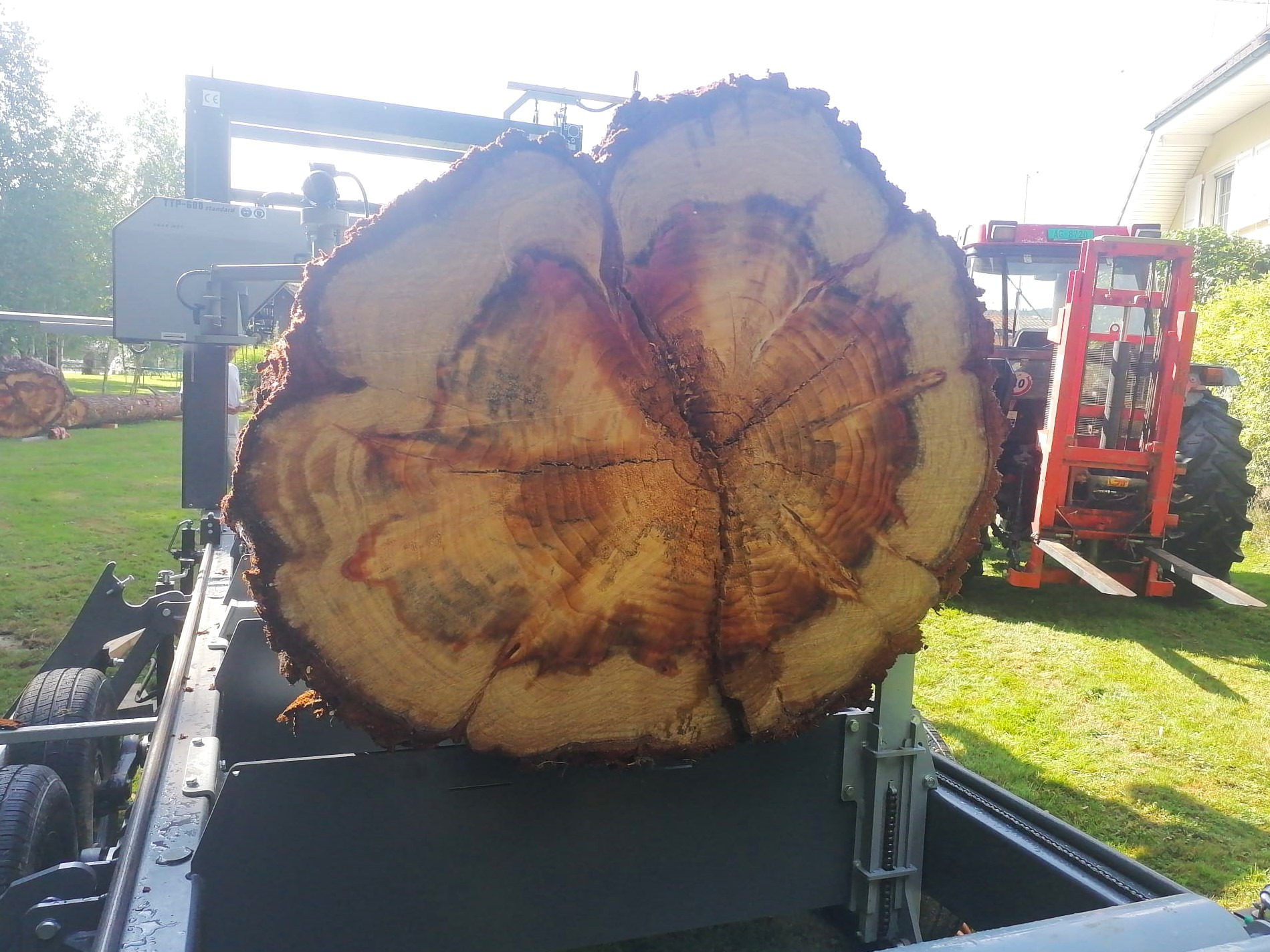 TRAK-MET undefined: photos 107