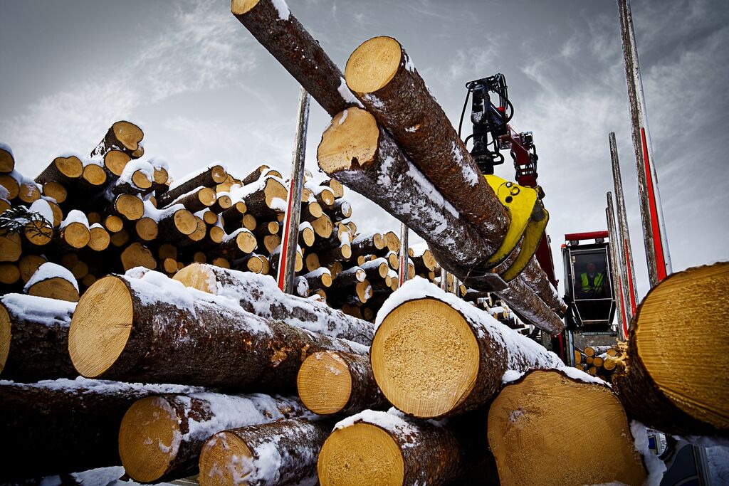 Tractoaredepadure.ro - Matériel forestier undefined: photos 8