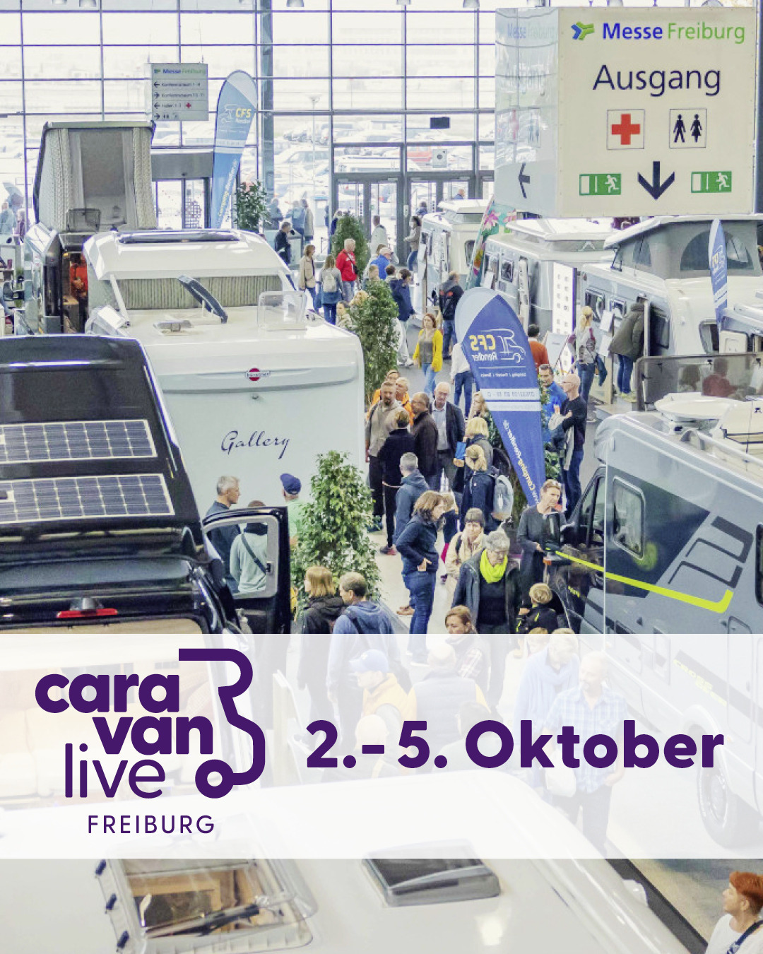 Caravan live 2025 undefined: photos 3