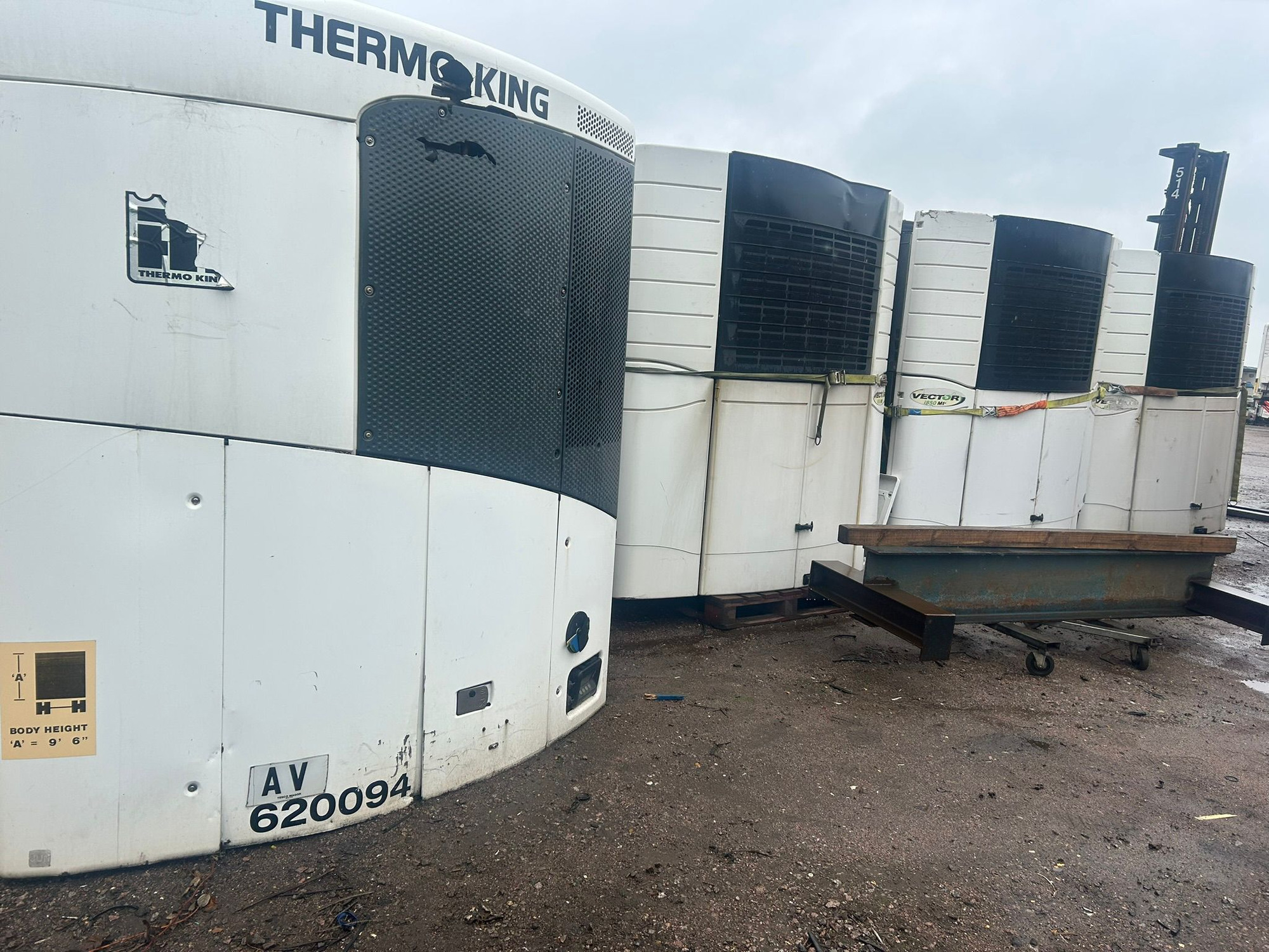 SI Meditalk Limited undefined: photos 17