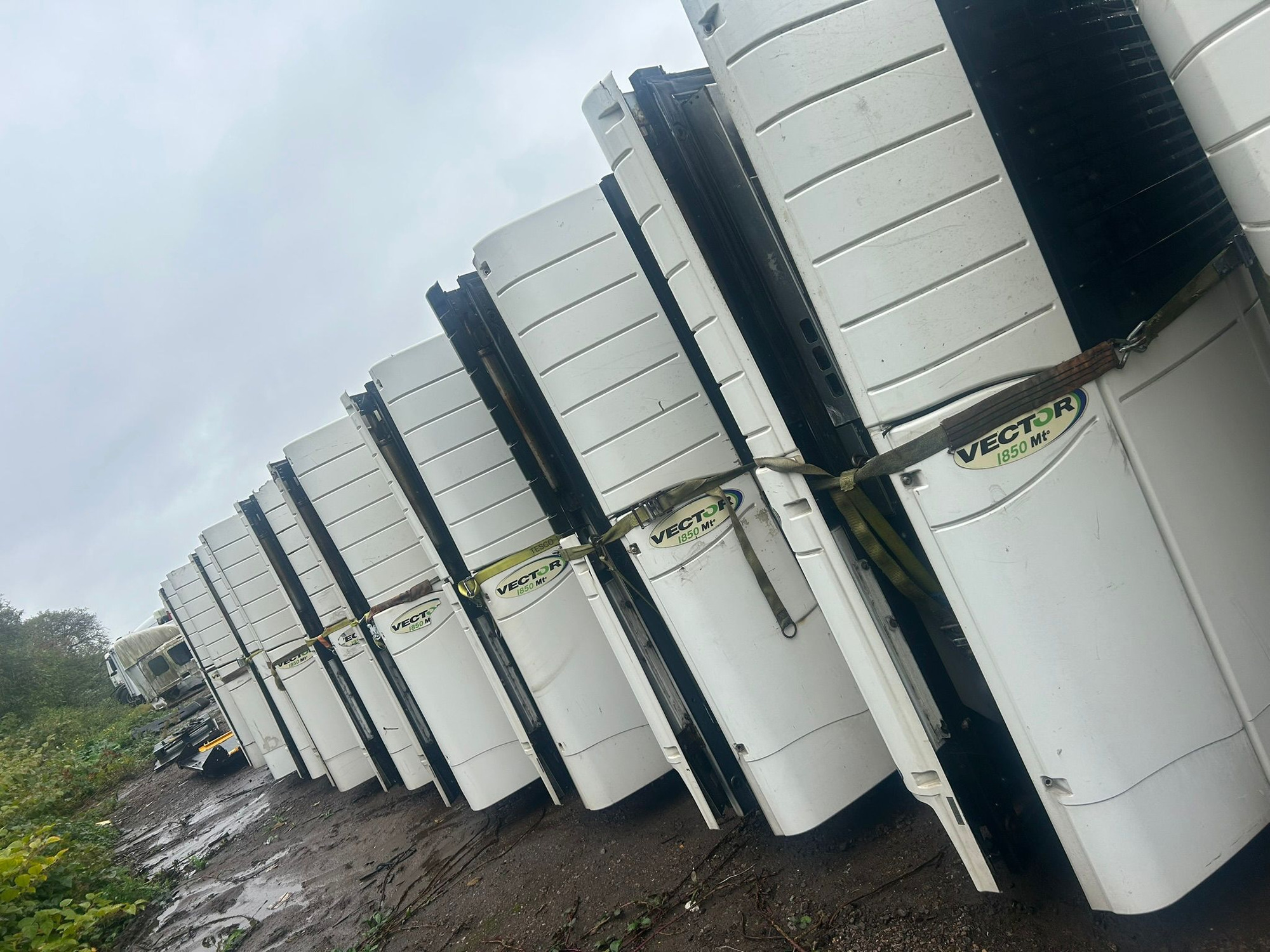 SI Meditalk Limited undefined: photos 16