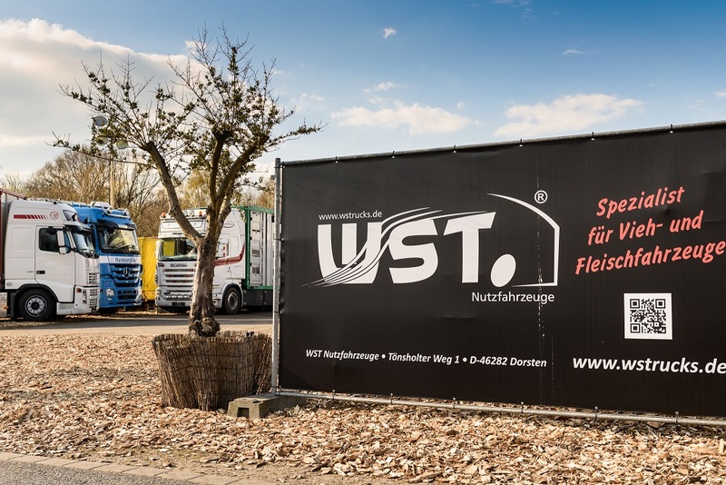 WS Trucks GmbH - Remorques - Année: 2011, 2-essieu undefined: photos 4