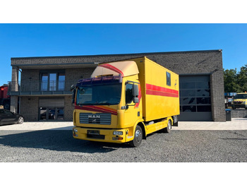 Camion chevaux MAN TGL 10.180