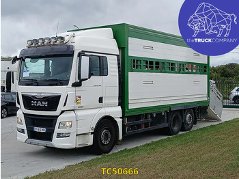 Camion bétaillère MAN TGX