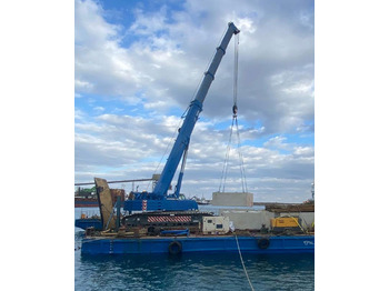 Grue sur chenilles LIEBHERR