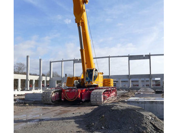 Grue sur chenilles LIEBHERR