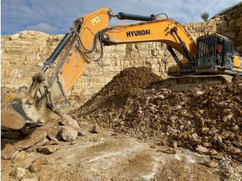 Pelle sur chenille HYUNDAI