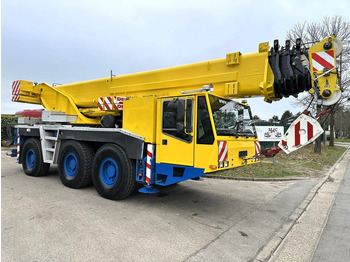 Grue tout-terrain DEMAG