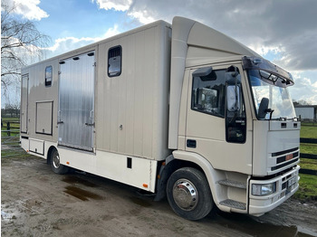 Fourgon grand volume Iveco 120E18 - 3 HORSES - MANUAL - STEEL SUSPENSION: photos 2