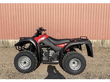 Quadricycle Suzuki LT-F250 QZARK: photos 1