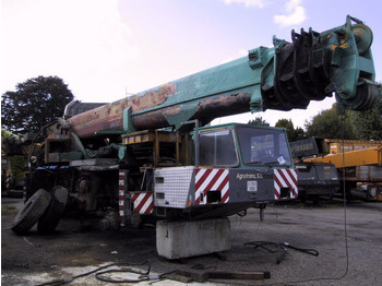Grue mobile TEREX