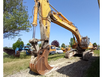 Pelle sur chenille CASE