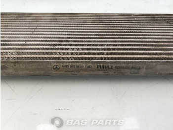 Radiateur d'huile pour Camion Mercedes-Benz Oliekoeler V-Bak Mercedes A 960 500 59 01: photos 3