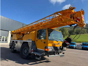 Grue mobile LIEBHERR LTM 1030/2