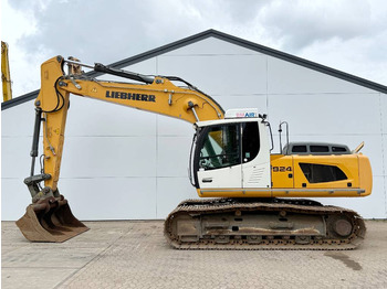 Pelle sur chenille LIEBHERR R 924