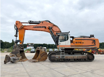 Pelle sur chenille LIEBHERR