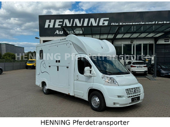 Camion chevaux FIAT Ducato