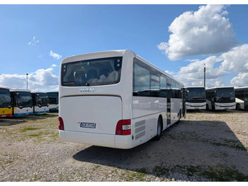 Bus interurbain neuf MAN Lion's Intercity: photos 5