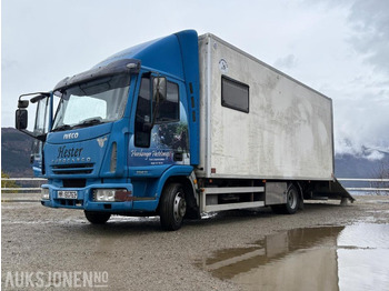 Camion bétaillère IVECO EuroCargo