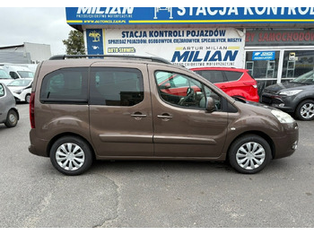 Voiture break Peugeot Partner II Peugeot Partner Tepee 100 Family Model 2013: photos 2