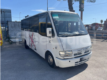 Minibus IVECO