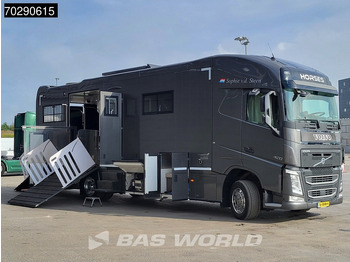 Crédit-bail de Volvo FH 420 FH 4X2 NL-Truck STX Horse truck + Living 4 Horses Navi ACC Euro 6 Volvo FH 420 FH 4X2 NL-Truck STX Horse truck + Living 4 Horses Navi ACC Euro 6: photos 3