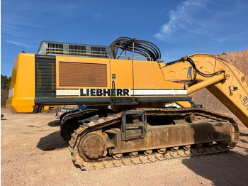 Pelle sur chenille Liebherr R974B Litronic: photos 2