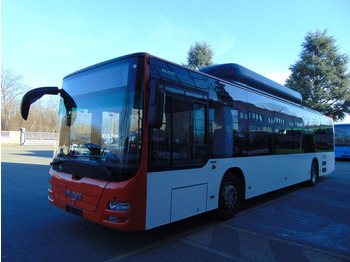 Crédit-bail de  N.4 MAN LION’S CITY CNG – Anno 2014 N.4 MAN LION’S CITY CNG – Anno 2014: photos 3