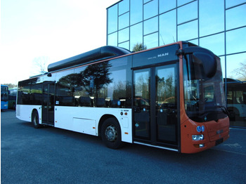 Crédit-bail de  N.4 MAN LION’S CITY CNG – Anno 2014 N.4 MAN LION’S CITY CNG – Anno 2014: photos 1
