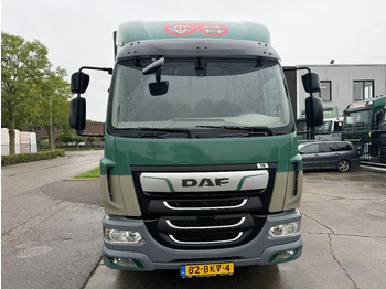 Camion à rideaux coulissants DAF LF 260 4X2 16T DHOLLANDIA LOAD LIFT + TÜV TILL 0: photos 2