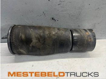 Suspension SCANIA