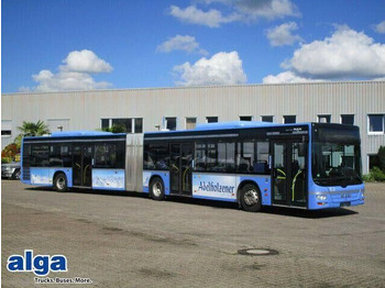 Bus articulé MAN Lion's City A23