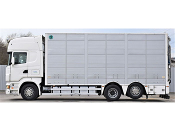 Crédit-bail de Scania R 500 TIERTRANSPORTWAGEN 7,10m / 4STOCK  Scania R 500 TIERTRANSPORTWAGEN 7,10m / 4STOCK: photos 3