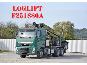 Camion grumier VOLVO FH 500